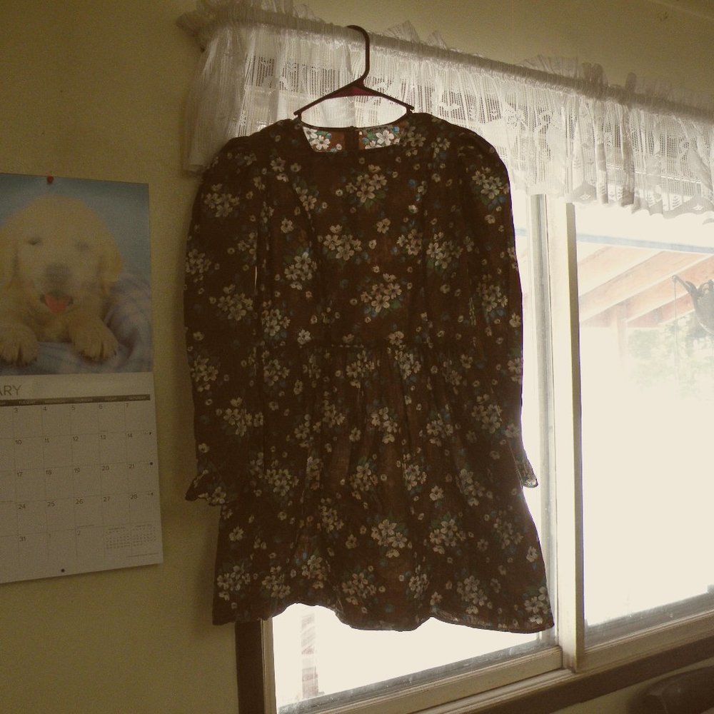 Batsheva Collarless Mini Prairie Dress in Brown Lily | Size 10